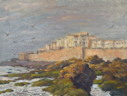 Widok na miasto- Essaouira